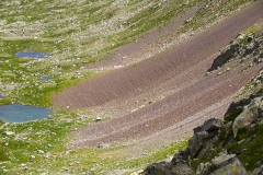DSC_2350 Coll d'Anglios