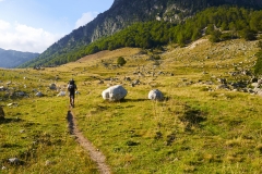 DSC_2361 Vall de Conagles