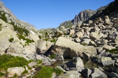 DSC_2452 Estany de les Obagues de Ratera