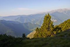 DSC_2500 Coll de Calvo