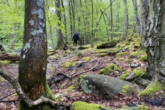 krajem-tri-rek-rokytna-oslava-jihlava-200-05-01-07.48.14