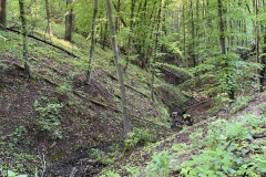 krajem-tri-rek-rokytna-oslava-jihlava-200-05-02-08.22.58