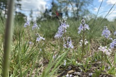 krajem-tri-rek-rokytna-oslava-jihlava-200-05-03-14.40.39
