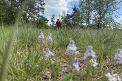 krajem-tri-rek-rokytna-oslava-jihlava-200-05-03-14.40.55