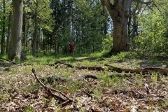 krajem-tri-rek-rokytna-oslava-jihlava-200-05-04-10.15.56