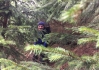 2017-04-15 08.22.33