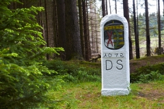 DSC_1801