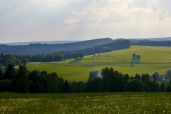 DSC_1919