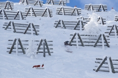 170106-fieberbrunn-yabasta-freeride-freeski-snb-1956