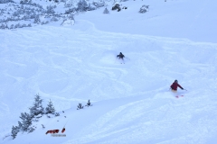 170106-fieberbrunn-yabasta-freeride-freeski-snb-2039