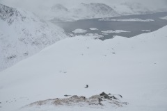 bergsfjord-norway-skimo-2022-yabasta-cz-234