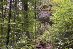frankenjura-climbing-jura-yabasta-cz-011-juraelefant-stierberg