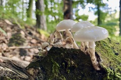 230930-frankenjura-climbing-004