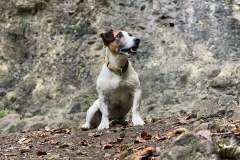 230930-frankenjura-climbing-005