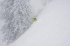 gosau_milk_nebel_fog_220123-002
