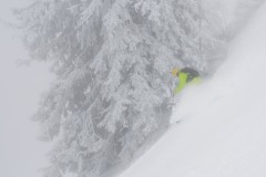 gosau_milk_nebel_fog_220123-003