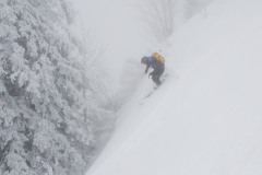 gosau_milk_nebel_fog_220123-005
