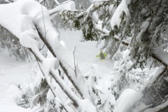 gosau_milk_nebel_fog_220123-015