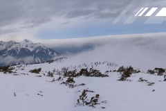 080112hinter01