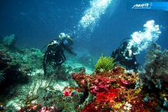 indonesia-2010--010