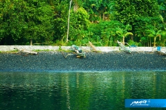indonesia-2010--072