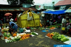 indonesia-2010--092