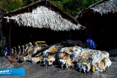 indonesia-2010--217