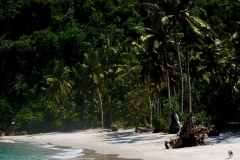 indonesia-2010--274
