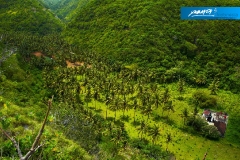 indonesia-2010--365