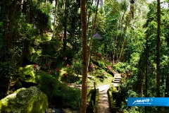 indonesia-2010--375