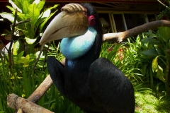 indonesia-2010--382
