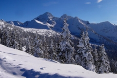 panorama2