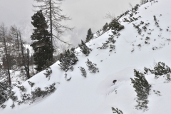 170115-krippenstein-freeride-yabasta-cz-0612
