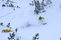 170115-krippenstein-freeride-yabasta-cz-2212