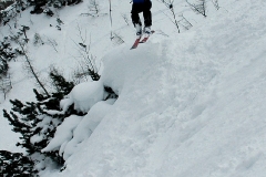 krip_006