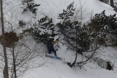 krip_661