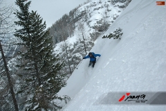 krip_842