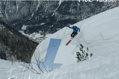 krip_990