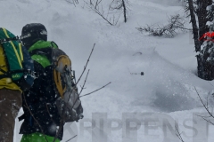 krippenstein-freeride-yabasta-2015-dsc_8015.jpg