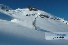 puy28