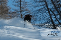 puy38