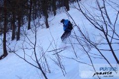 puy54