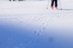 puy63