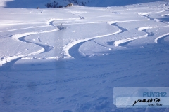 puy82
