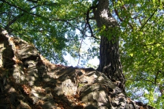 P1060316