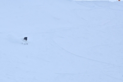 freeride-freeski-st-anton-yabasta-DSC_9218