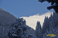 00 stubai freeride 2015 yabasta dsc_7499