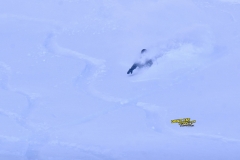 stubai freeride 2015 yabasta dsc_7523