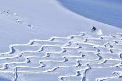 stubai freeride 2015 yabasta dsc_7534