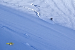 stubai freeride 2015 yabasta dsc_7538